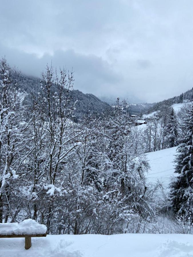 Chalet Soleya Le Grand-Bornand Eksteriør billede